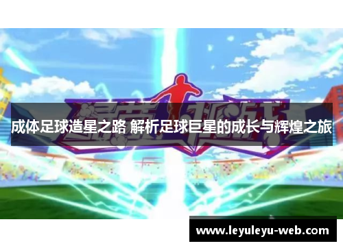 成体足球造星之路 解析足球巨星的成长与辉煌之旅