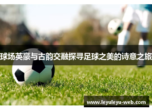 球场英豪与古韵交融探寻足球之美的诗意之旅